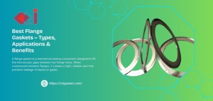 Best Flange Gaskets